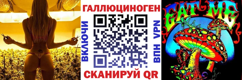 цена   Туринск  Галлюциногенные грибы Magic Shrooms 